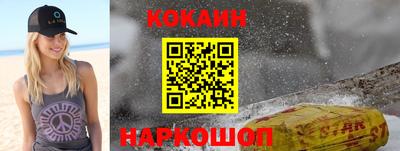 шишки Дубна