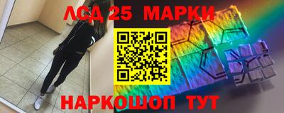 шишки Дубна