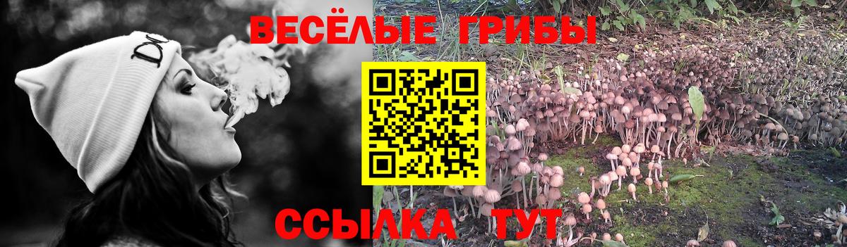 Псилоцибиновые грибы мухоморы Лыткарино